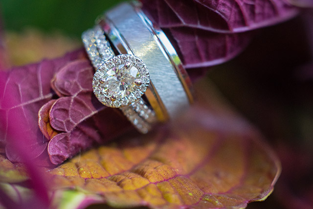 Wedding Rings in beautiful light